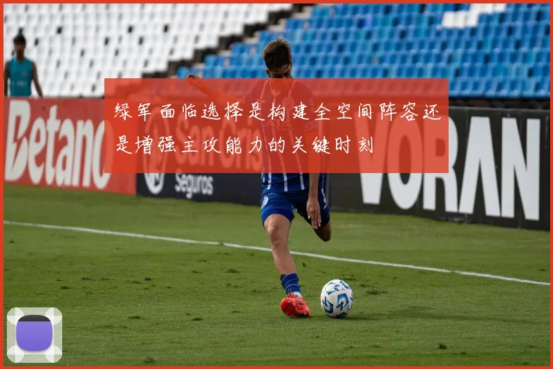 绿军面临选择是构建全空间阵容还是增强主攻能力的关键时刻