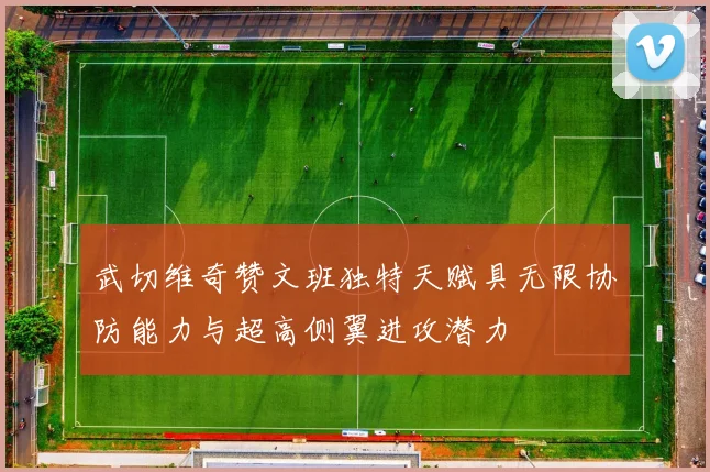 武切维奇赞文班独特天赋具无限协防能力与超高侧翼进攻潜力