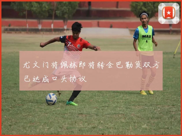 尤文门将佩林即将转会巴勒莫双方已达成口头协议